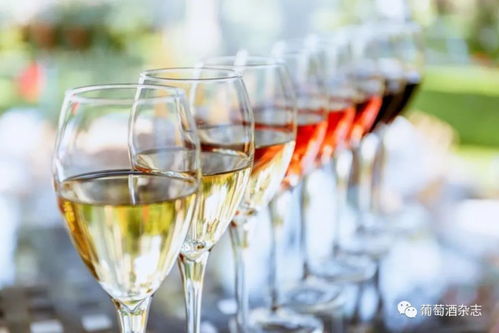 酒類批發(fā)新路徑 B2B電商平臺月銷近百萬的葡萄酒進貨渠道